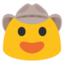:face_with_cowboy_hat: đź¤